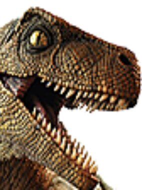 Meet your Posher, Robin